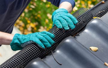 Muir gutter repair companies